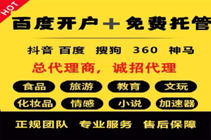专业sem竞价托管服务，案例解析提升广告效果